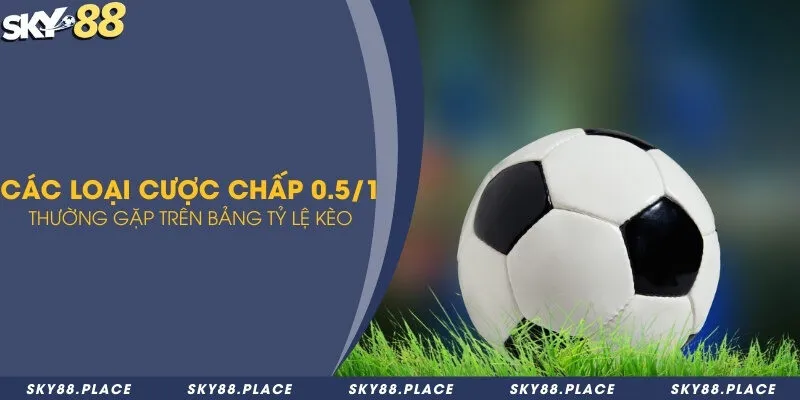 Kèo 0.5/1 là gì? 2 loại cược chấp và phương pháp soi kèo chuẩn 2 Đặc điểm cược 0.5/1 trong kèo châu Á và kèo tài xỉu