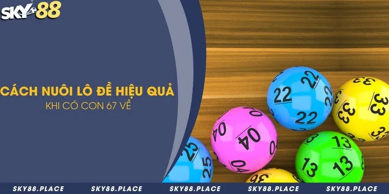 Tìm hiểu bộ lô đề đẹp nên nuôi khi hôm nay đề về 67 3 Cách nuôi lô đề hiệu quả khi có con 67 về