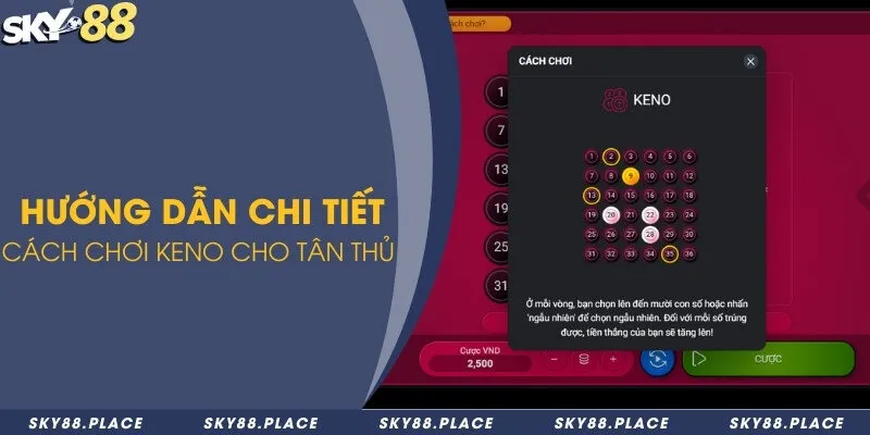 Hướng dẫn từ A đến Z cách chơi Keno tại Sky88 3 Hướng dẫn chi tiết cách chơi keno cho tân thủ