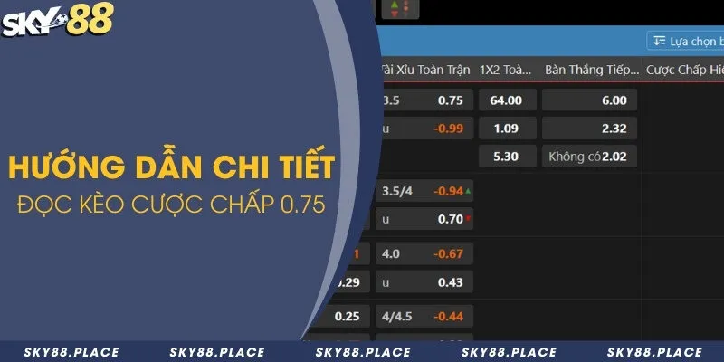 Kèo 0.75 là gì? Chia sẻ 3+ cách dự đoán kèo 0.75 cực chuẩn 2 Hướng dẫn chi tiết đọc kèo cược chấp 0.75
