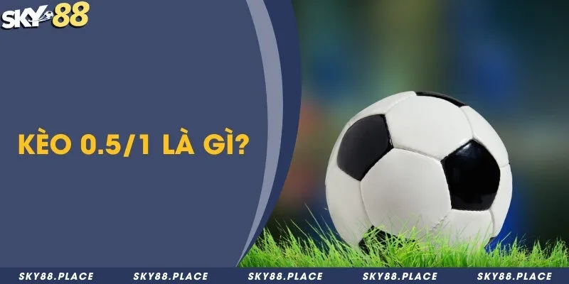 Kèo 0.5/1 là gì? 2 loại cược chấp và phương pháp soi kèo chuẩn 1 Kèo 0.5/1 là gì?