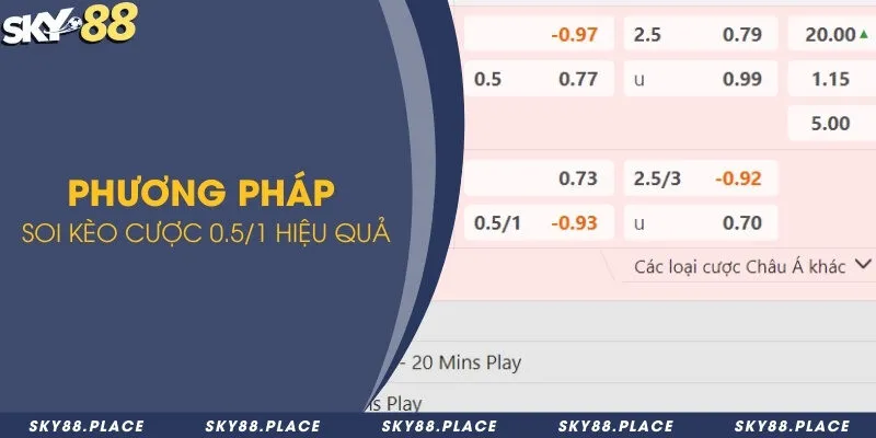 Kèo 0.5/1 là gì? 2 loại cược chấp và phương pháp soi kèo chuẩn 3 Tổng hợp phương pháp soi kèo bóng đá 0.5/1 chắc thắng
