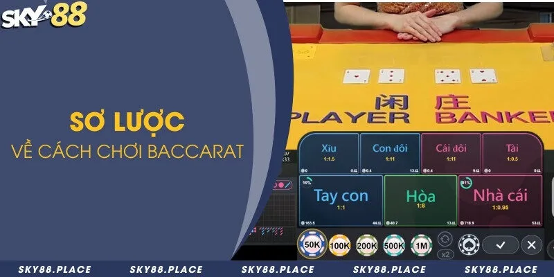 Sơ lược về cách chơi baccarat 